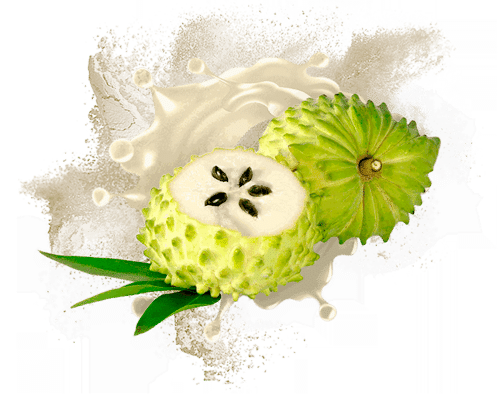 Noni Dry Extract