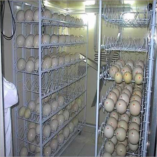 2500Ostrich Egg Incubator