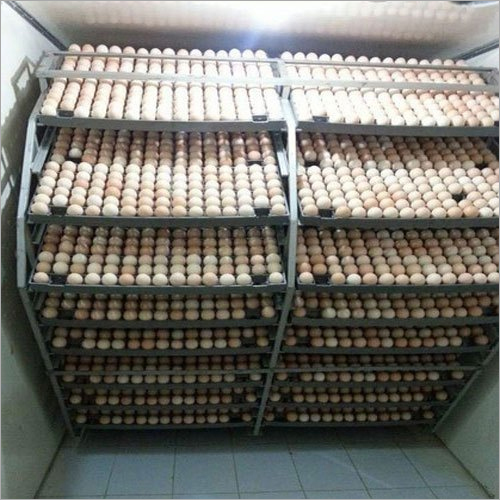 15000 Egg Poultry Incubator