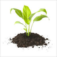 Potting Soil Fertilizer
