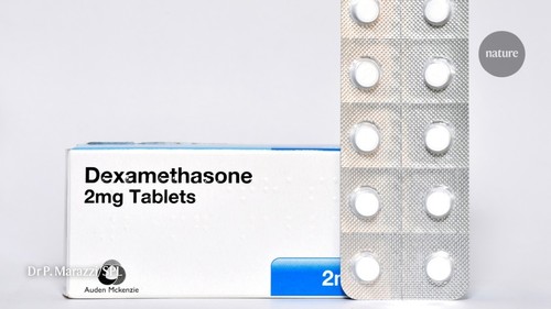 Dexamethasone Tablets General Medicines