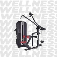 Lat pull down dual handle