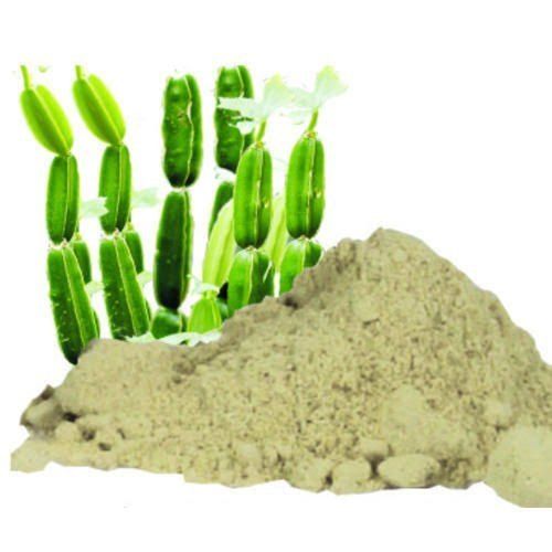 Cissus Quadrangularis Stem Extract Shelf Life: 12 Months