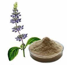 Coleus Forskohlii Root Extract