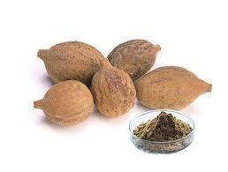 Terminalia Chebula Extract Shelf Life: 12 Months