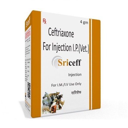 Ceftriaxone for Injection