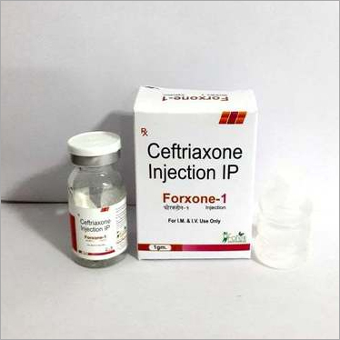 Beta Lactum Injection