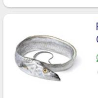 Ribbon Fish Supplier