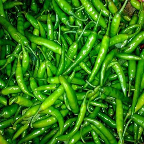 Fresh green chillies