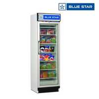 Blue Star Commercial Freezer