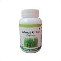 Herbal Medicine Wheatgrass Tulsi Capsule