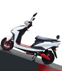 Electric Scooter---War Winner