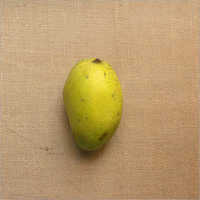 Chausa Mango