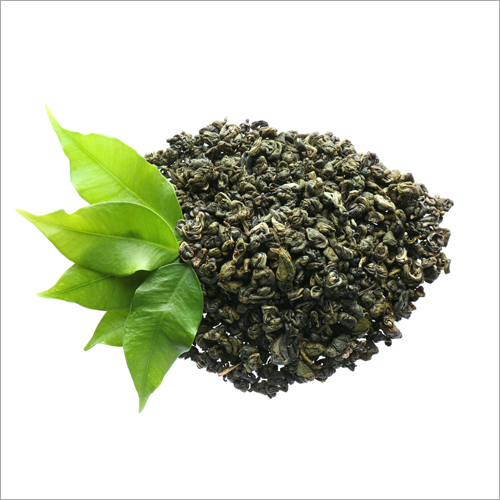 Dried Green Tea Leaves By MEDUSA EXIM