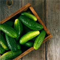 Cucumber .