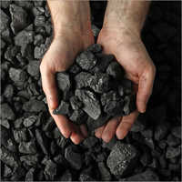 Coal