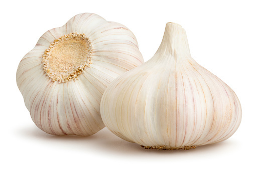 Garlic Seeds