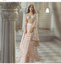 FANCY SIQUENCE CHOLI COLLECTION