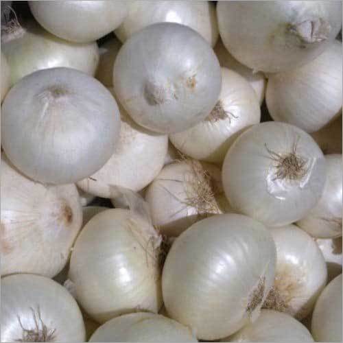 White onion By SHREE PEETAMBRA GLOBAL IMPEX