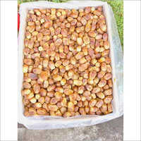 Dry Zahedi Wet Dates