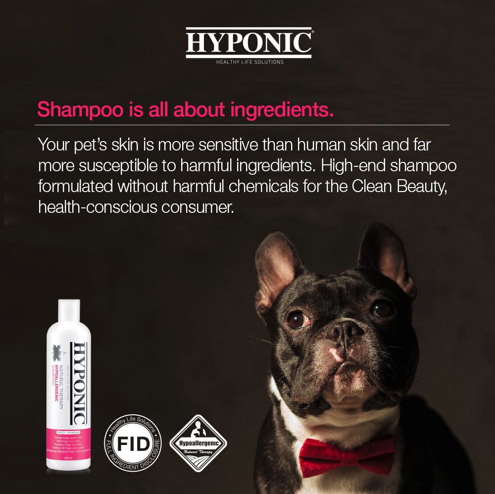 Hypoallergenic Shampoo All Dogs 16.9oz (500ml) (Non Toxic Skin Solution Soft Bubble bath)