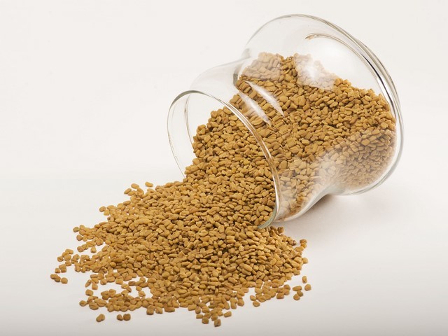 Fenugreek Seeds