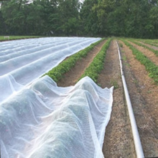 Uv Treated Non Woven Fabric - Color: White