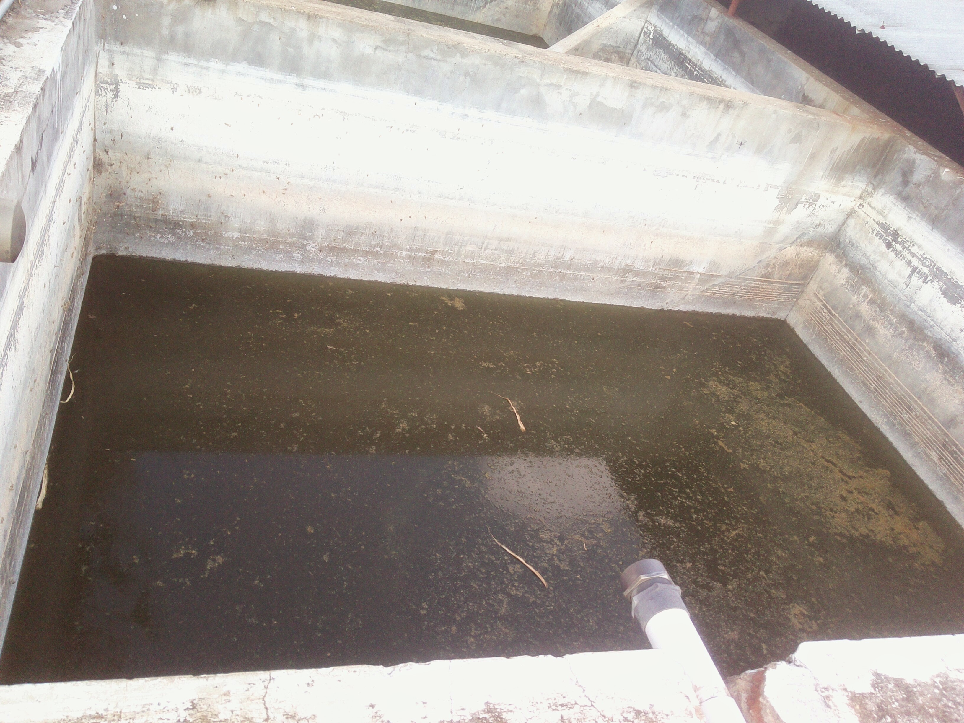 Portable Sewage Treatment Plant