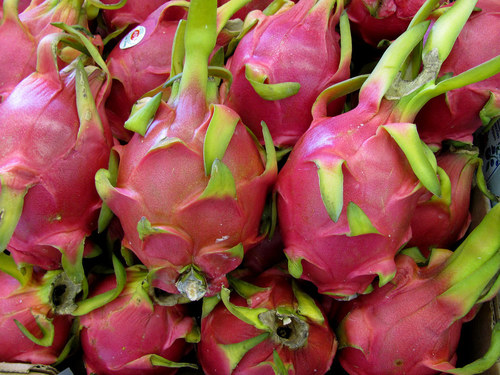 White And Red Dragon Fruit