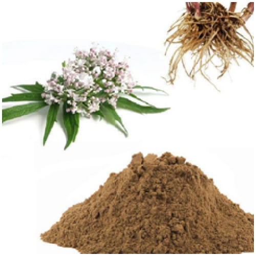 Tagar Dry Extract