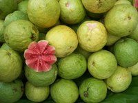 Fresh Guava