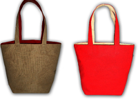 Reversible Bag