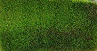 ARTIFICIAL GRASS/ VELLUTO TURF