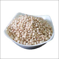 White Sorghum