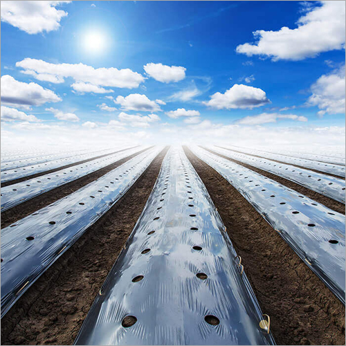 Plastic Mulch Film