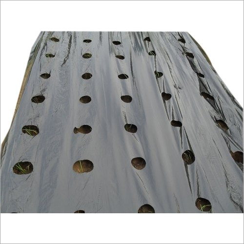 Black Mulch Film