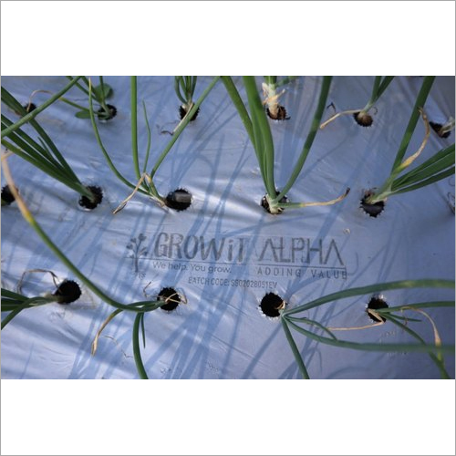 Onion and Garlic Plastic Mulch Film