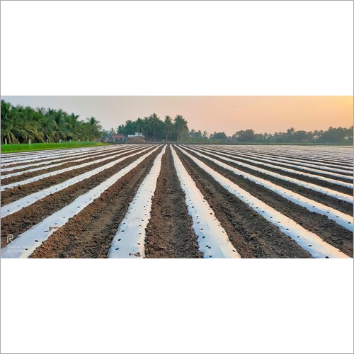 Black And Silver Mulch Film