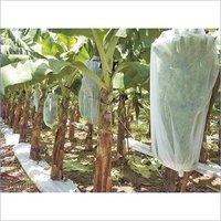 Non Woven Banana Bunch Cover