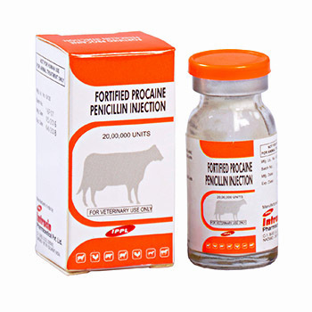 Fortified Procaine Penicillin For Injection