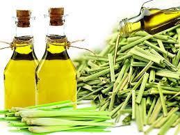 Lemongrass Oil Cas No: 8007-02-1