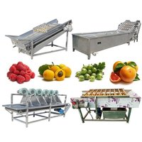 Full Automatic Raspberry Washing Waxing Drying Packing Line