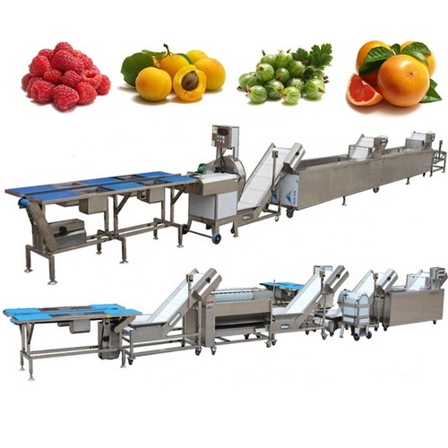 Full Automatic Apricot Plum Washing Waxing Drying Cutting Line