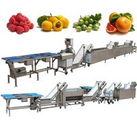 Full Automatic Apricot Plum Washing Waxing Drying Cutting Line