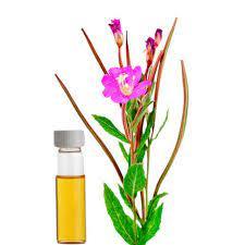 Palmarosa Essential Oil