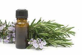 Rosemary Essential Oil Cas No: 8000-25-7