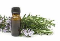 Rosemary Essential Oil