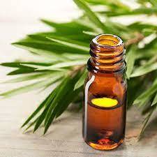 Tea Tree Oil