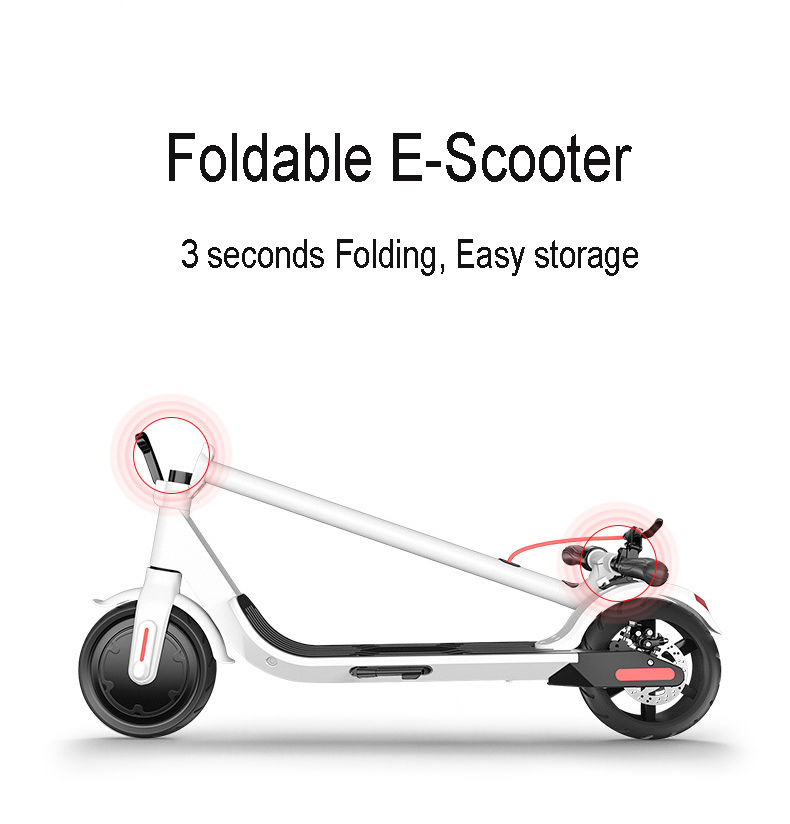 Electric Scooter WHL902