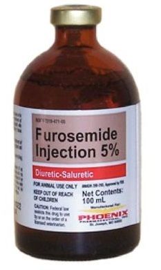 Furosemide Injection